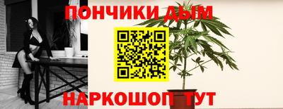 твердый Бердск