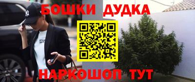 твердый Бердск