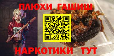 твердый Бердск