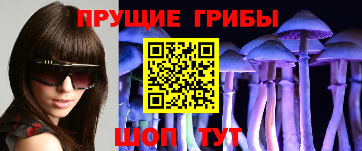 Галлюциногенные грибы Cubensis Дзержинский