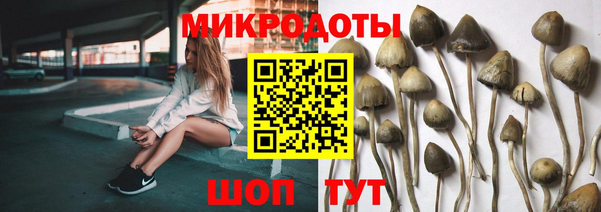 Псилоцибиновые грибы GOLDEN TEACHER  Вход с VPN  Дзержинский 